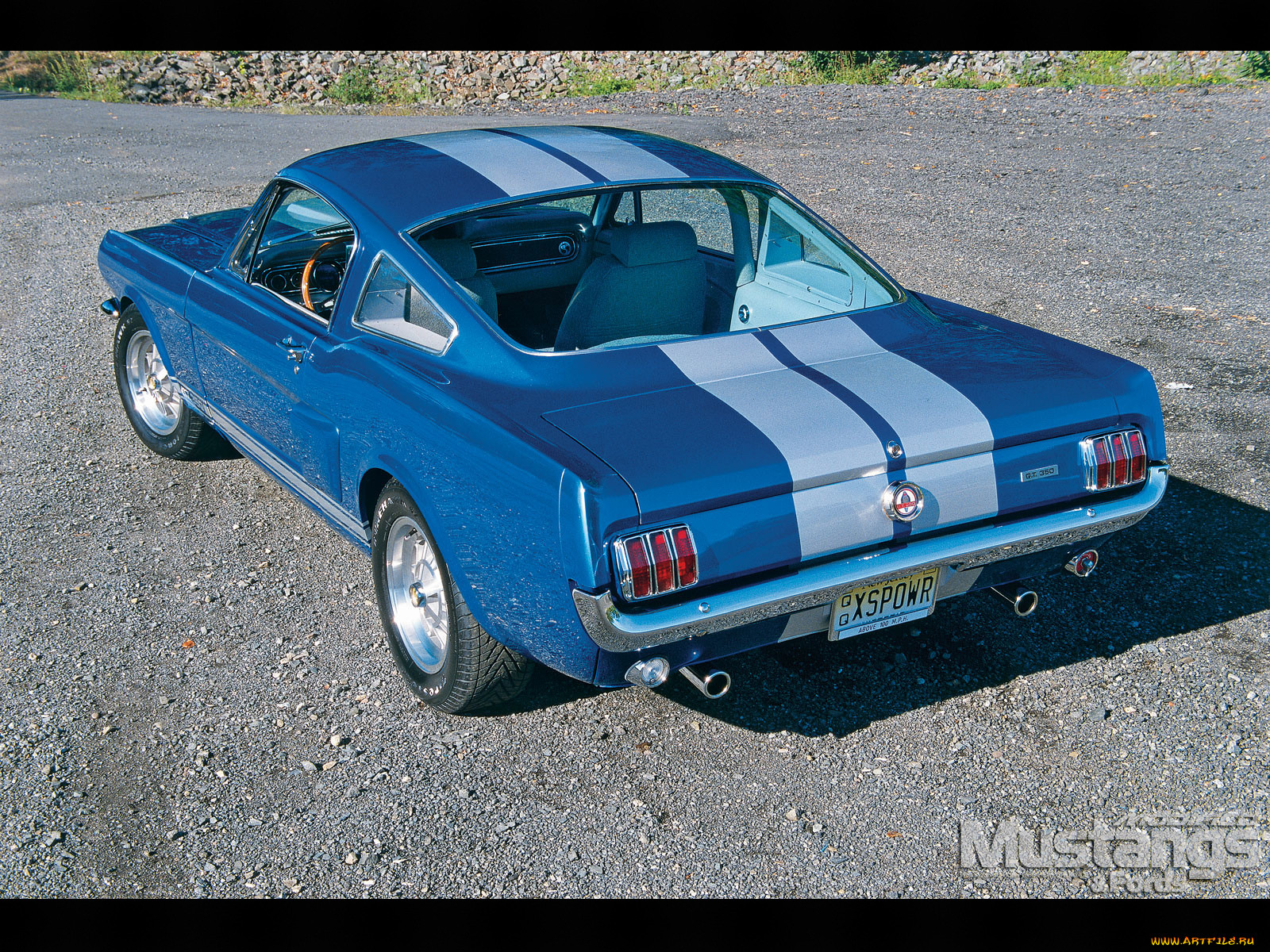 , mustang